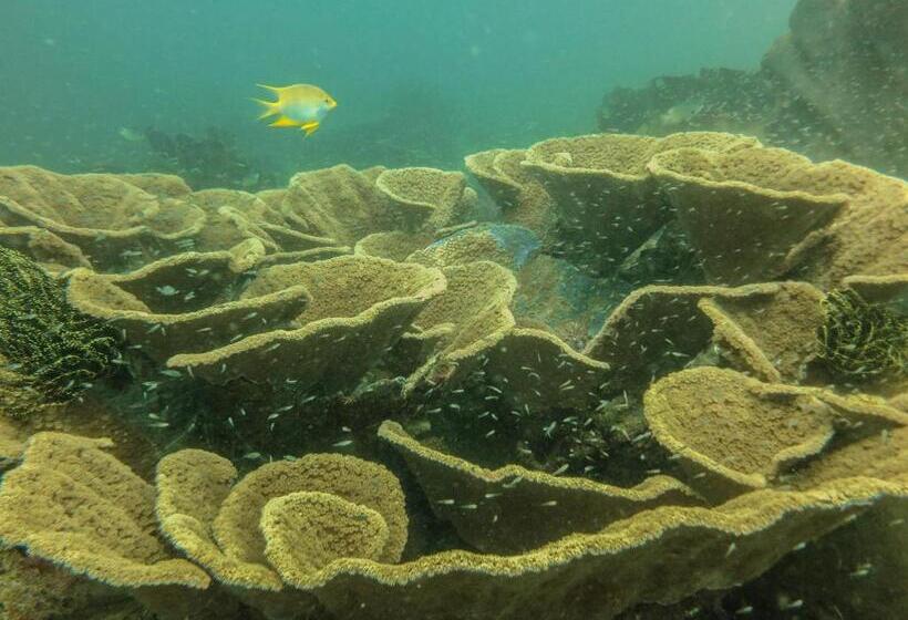 Bike And Tours Bed And Breakfast