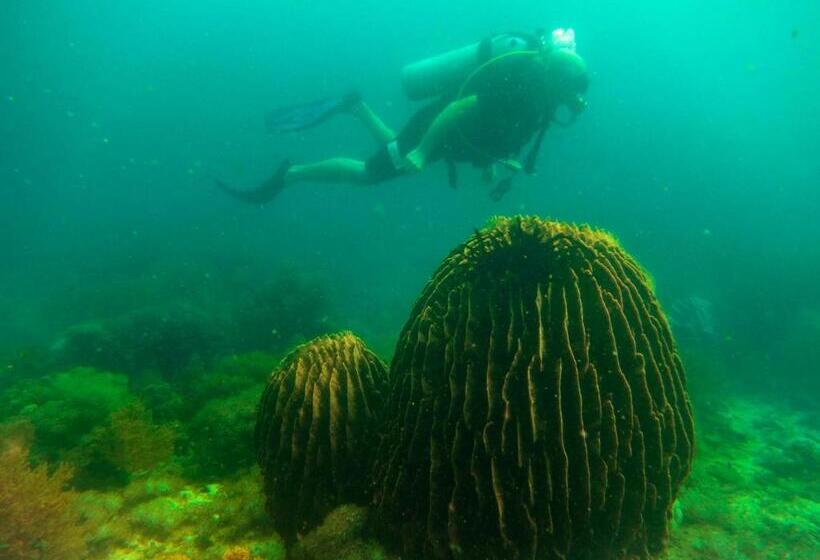 Bike And Tours Bed And Breakfast