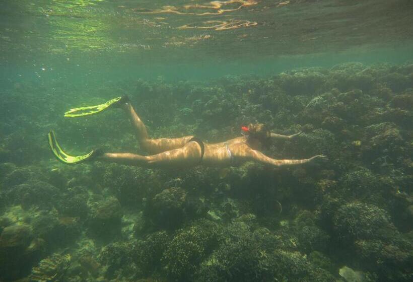 Bike And Tours Bed And Breakfast