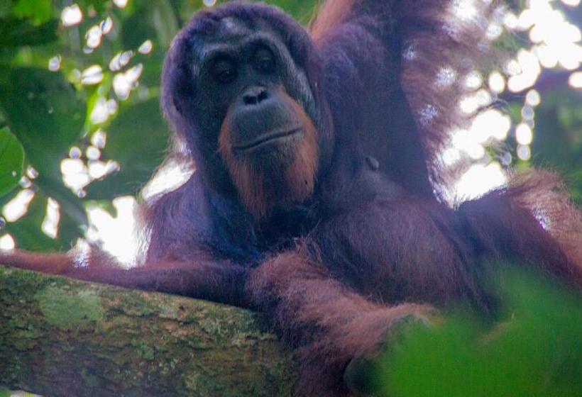 Bike And Tours Bed And Breakfast