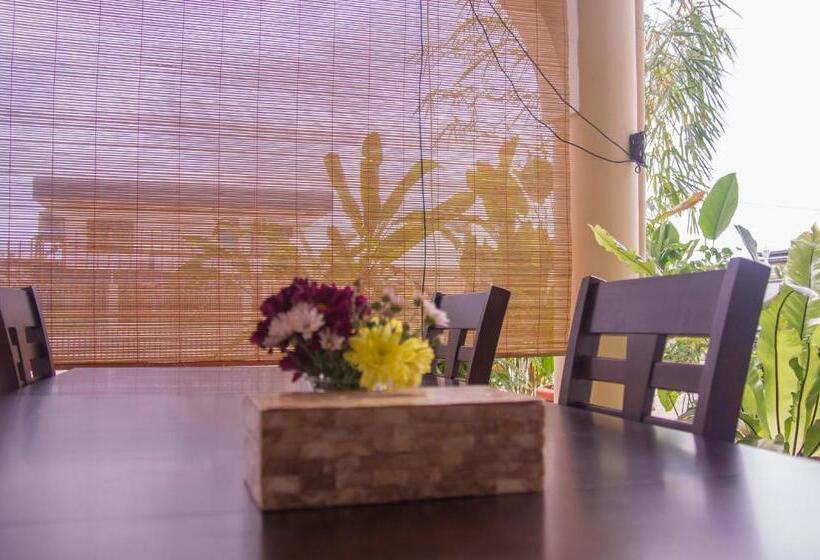 Bike And Tours Bed And Breakfast