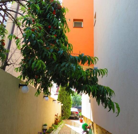 پانسیون Marynero