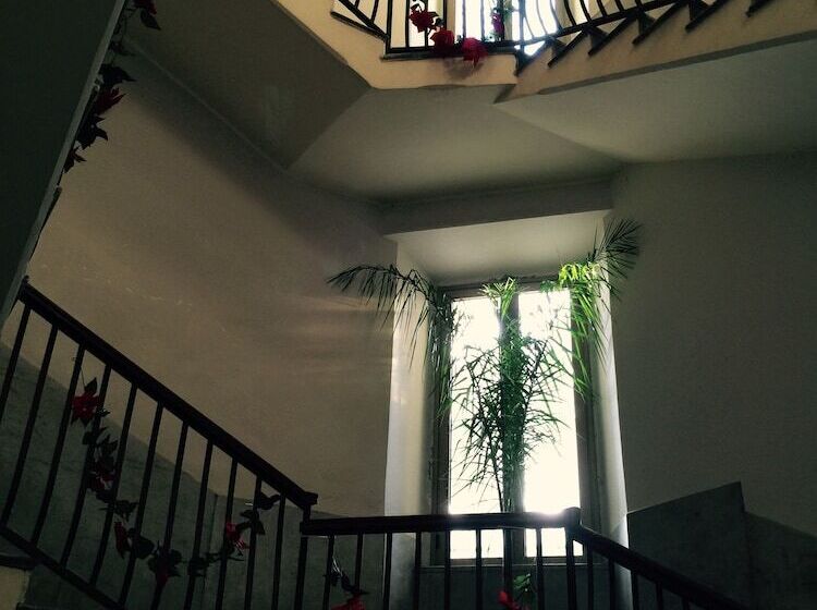 B&b Nike   Rooms Only