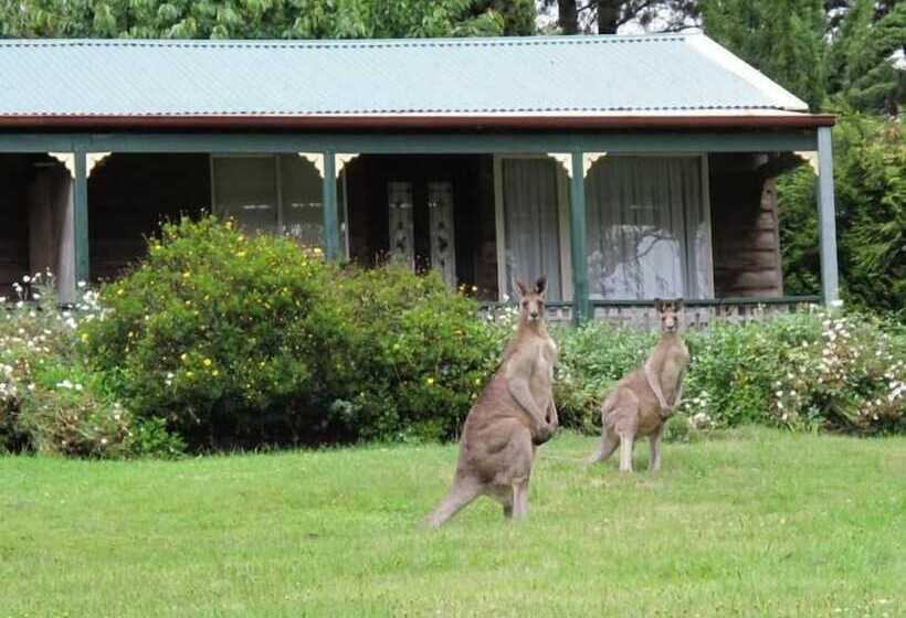 Cedar Lodge Cabins
