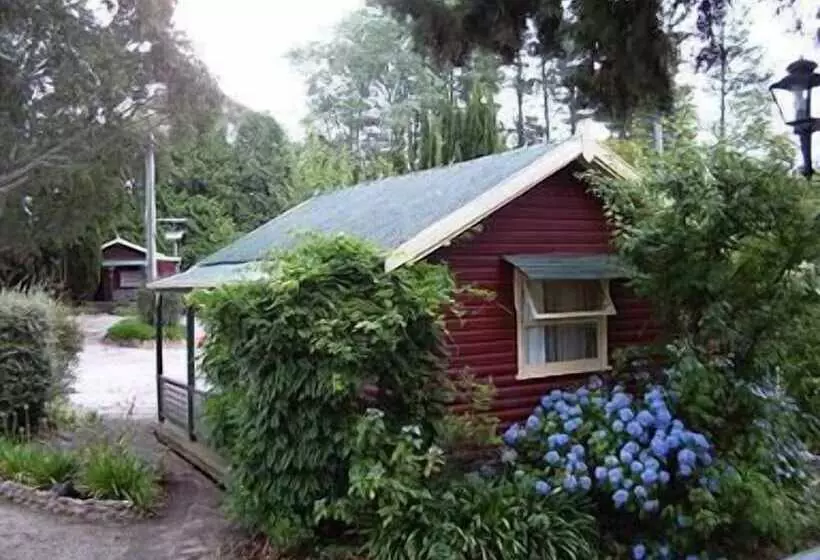 Cedar Lodge Cabins