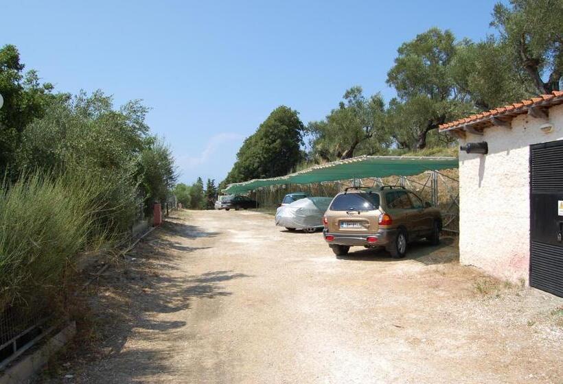 ホテル Zante Palace