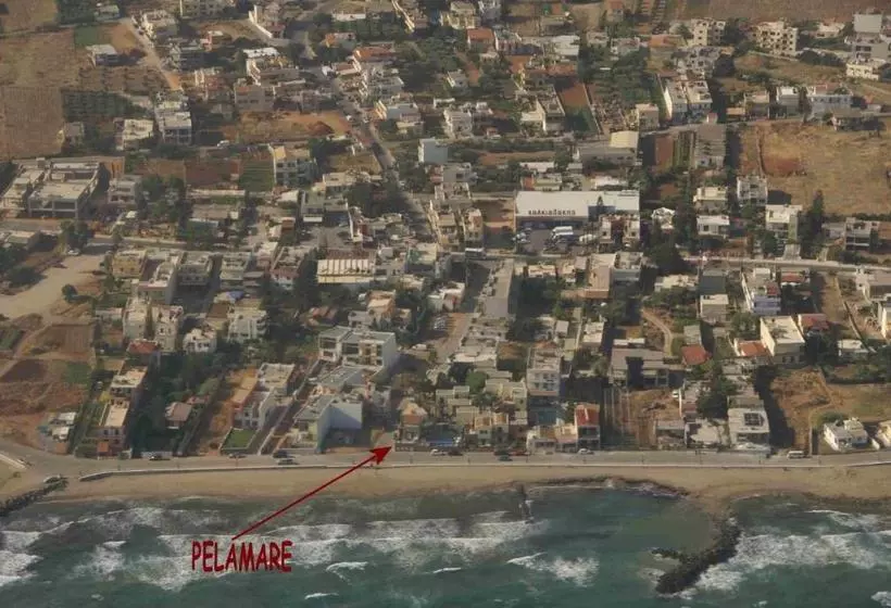 Pelamare