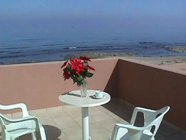 Pelamare