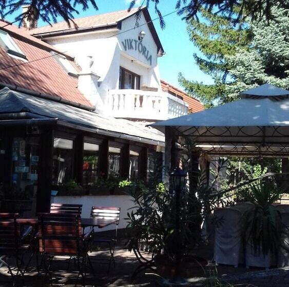 Отель Viktória