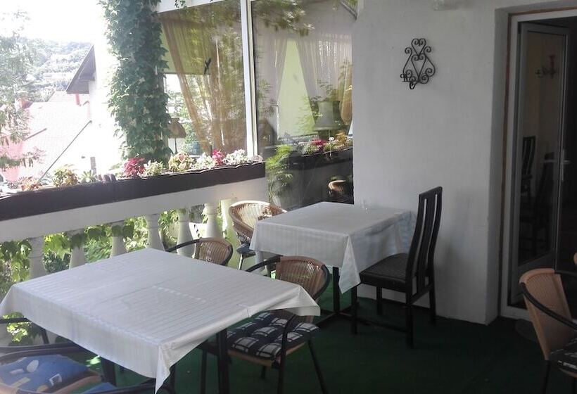 Отель Viktória