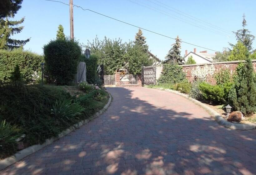 Отель Viktória