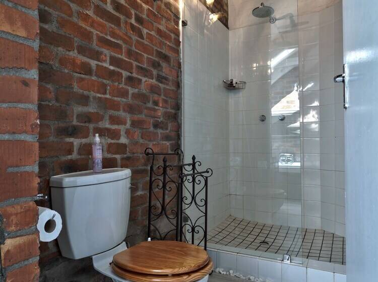 Los Olivos At The Yard