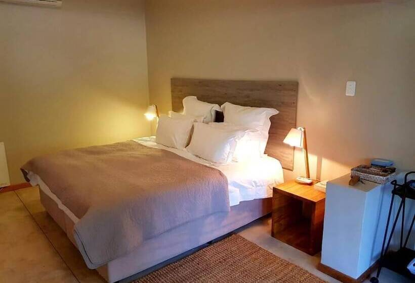 פנסיון Eight On Tuin