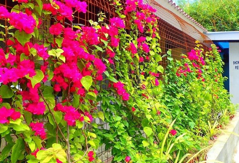 אתר נופש Aozora Seaside Mactan