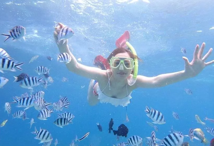 Lomakeskus Aozora Seaside Mactan