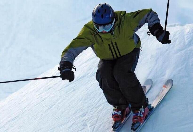 هتل Bichlalm Berggasthof