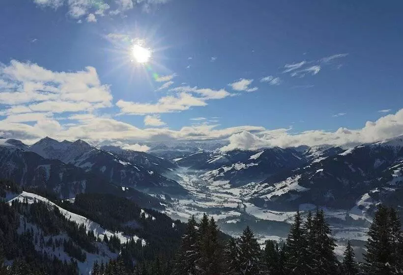 هتل Bichlalm Berggasthof