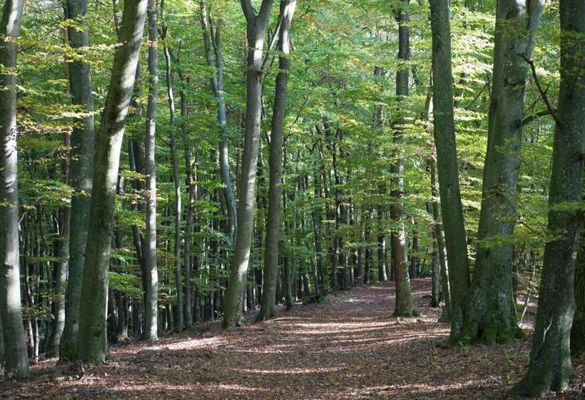 فندق Gasthof Kraxner