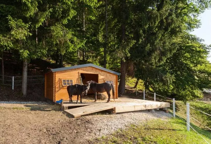 Hotelli Resort Klopeinersee