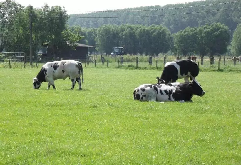 B&b Altijd Genieten