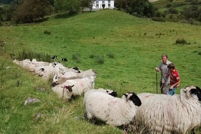 تختخواب و صبحانه Drumcorroy Farmhouse