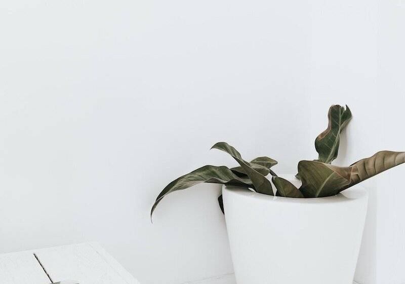 تختخواب و صبحانه Lenoir 96