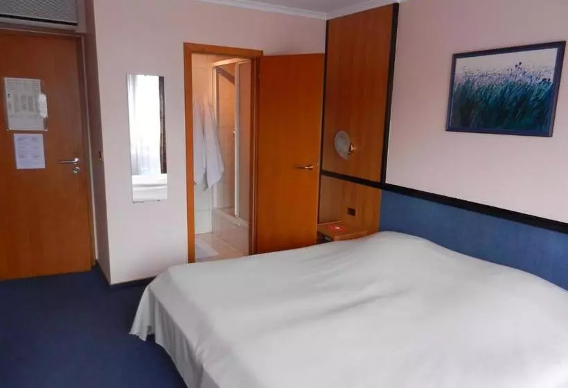 Hotel Albert 1er