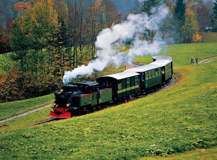 酒店 Engel Alberschwende