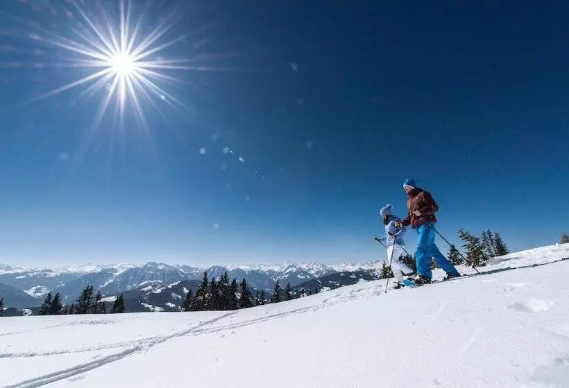 هتل Alpenrose Mühlbach Am Hochkönig