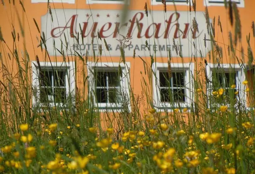 ホテル & Appartement Auerhahn