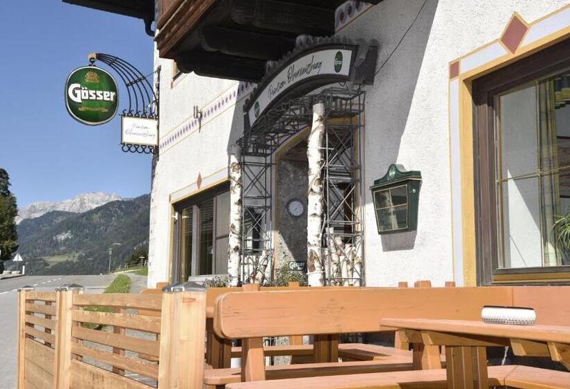 ホテル Frühstückspension Oberweissburg