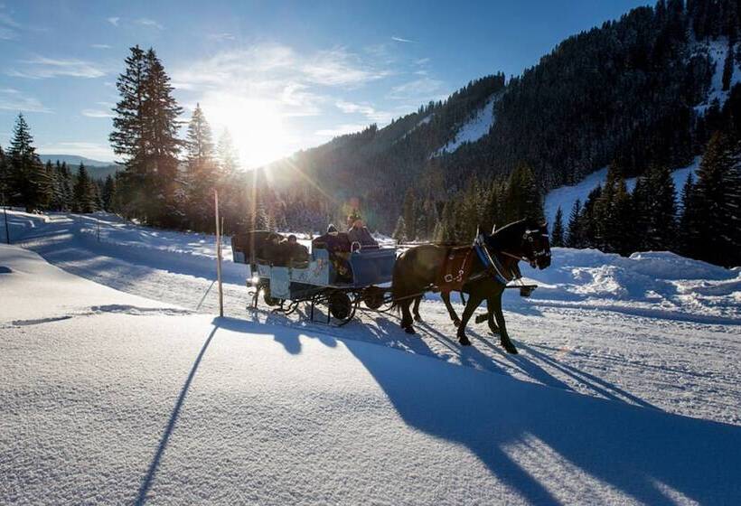 בית מלון כפרי Meizeit Lodge