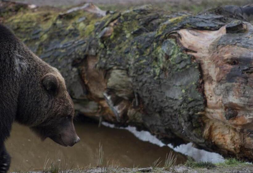 Отель The Harbour Inn