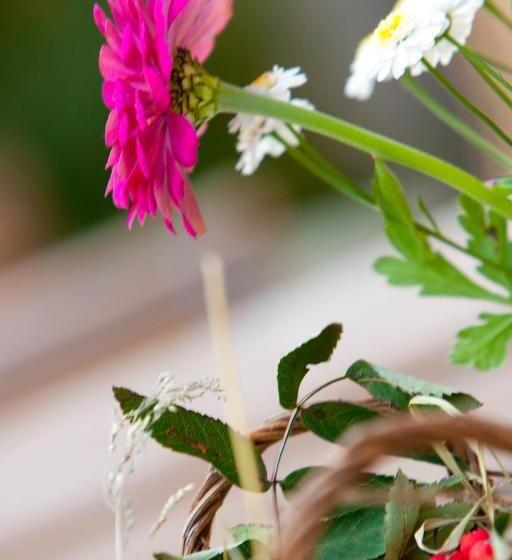 هتل Bloberger Hof