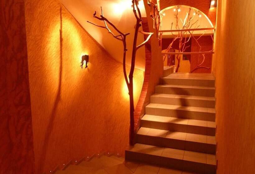 Отель Kactus Lodge