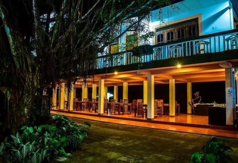 Hotelli Rainforest Lodge