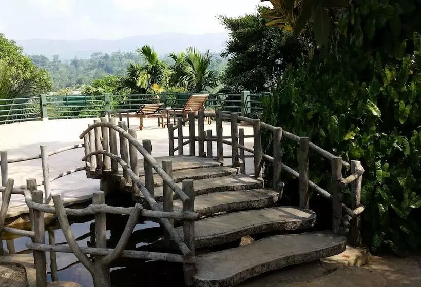 Hotelli Rainforest Lodge