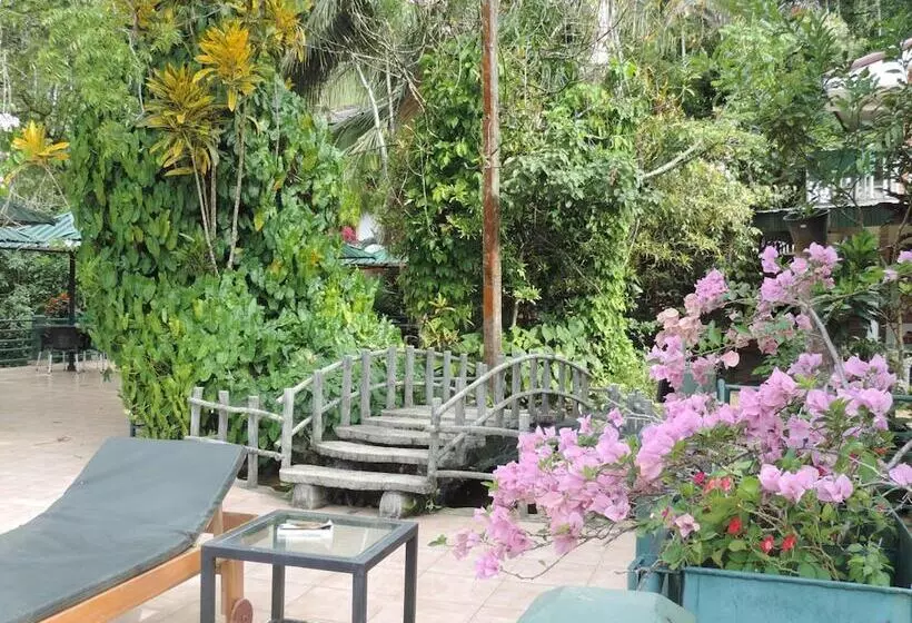 Hotelli Rainforest Lodge