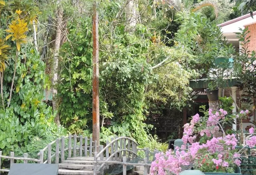 Hotelli Rainforest Lodge