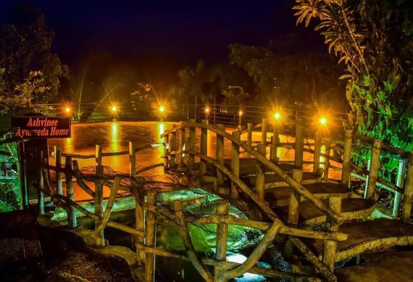 Hotelli Rainforest Lodge