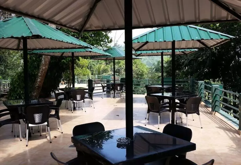 Hotelli Rainforest Lodge