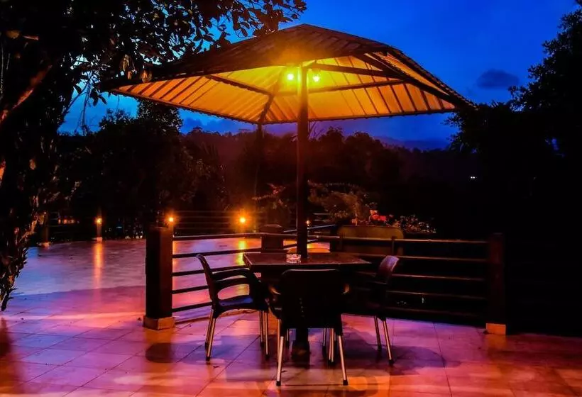 Hotelli Rainforest Lodge