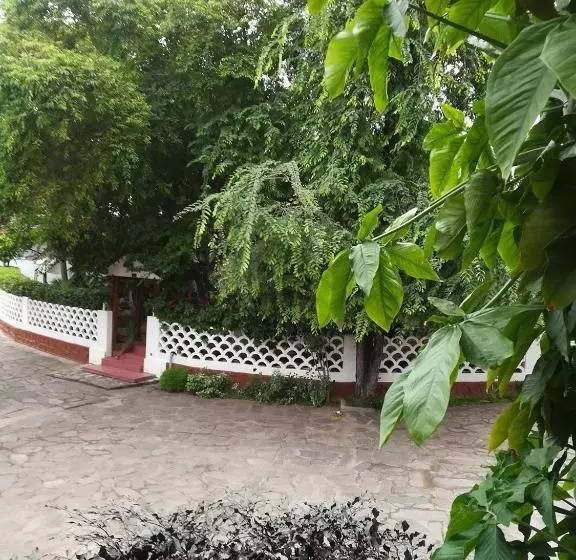 هتل Vivi Palace