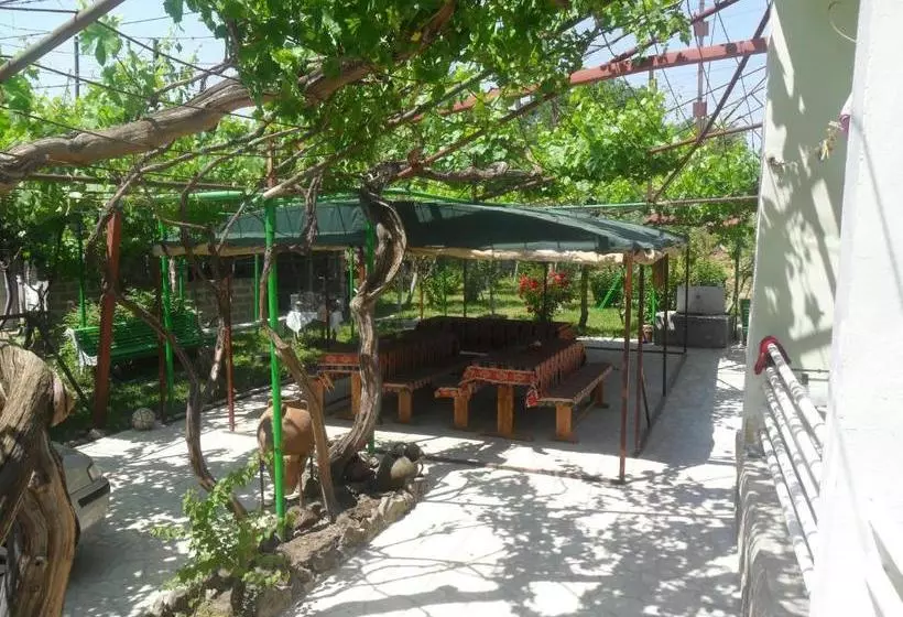 هاستل Guest House Garniresthost