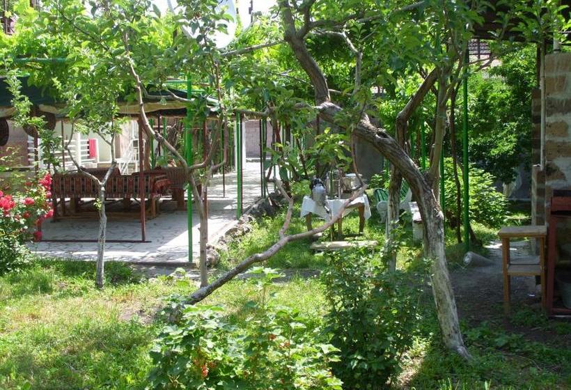 هاستل Guest House Garniresthost