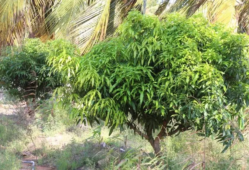 هتل Assouka Eco Village Du Lac Nokoué