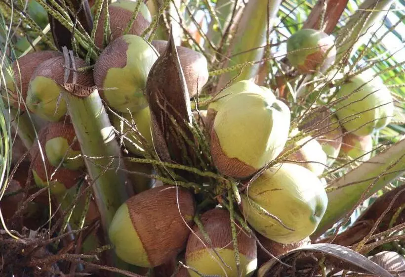 هتل Assouka Eco Village Du Lac Nokoué