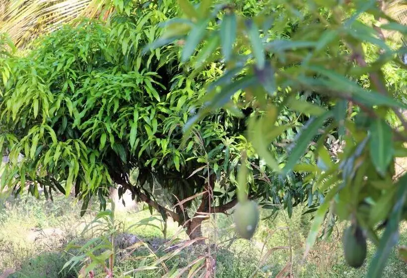 هتل Assouka Eco Village Du Lac Nokoué