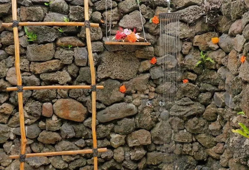 リゾートホテル Paradise Taveuni