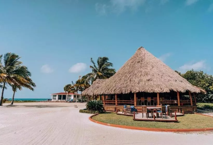 استراحتگاه Royal Belize